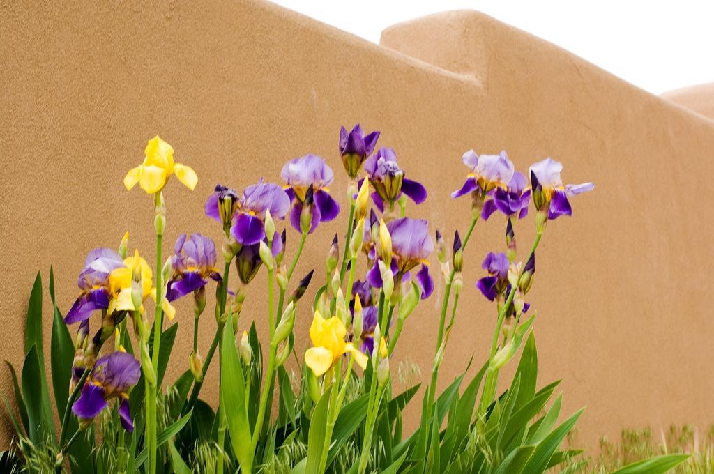 Fort Marcy Suites By All Seasons Resort Lodging Santa Fé Exterior foto